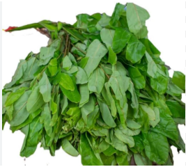 FRESH ORA LEAVES