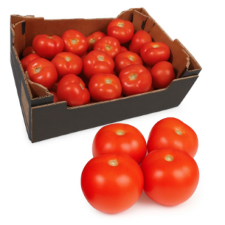 FRESH TOMATOES