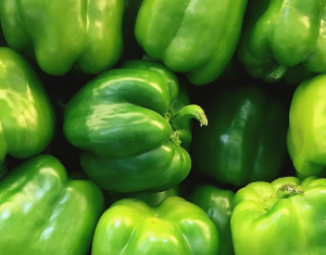 GREEN BELL PEPPER