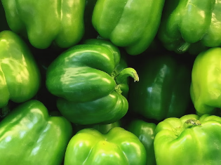 GREEN BELL PEPPER