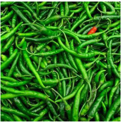 GREEN CHILLI (box)